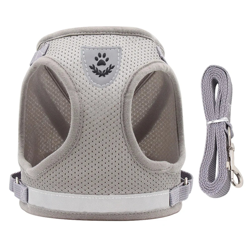 Soft Mesh Dog Cat Harness Set Reflective Walking Lead Leash Sets Breathable Puppy Vest For Small Medium Pet Dogs Yorkie Teddy